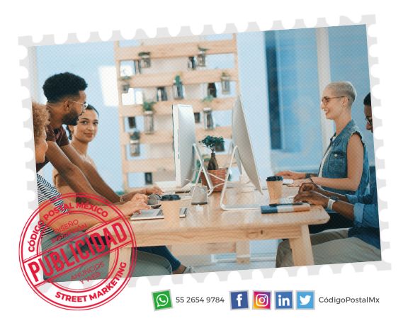 Empresas de marketing que no tienen muchos conocimientos en campo